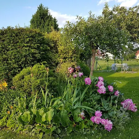 Iris Liptovský Mikuláš