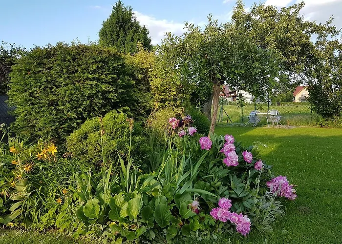 Iris Liptovský Mikuláš